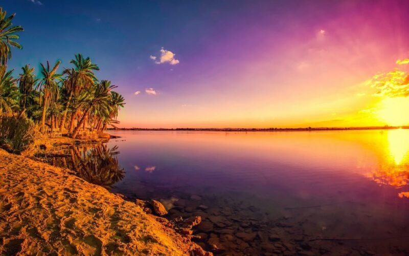 Exploring the Magical Oasis of Siwa